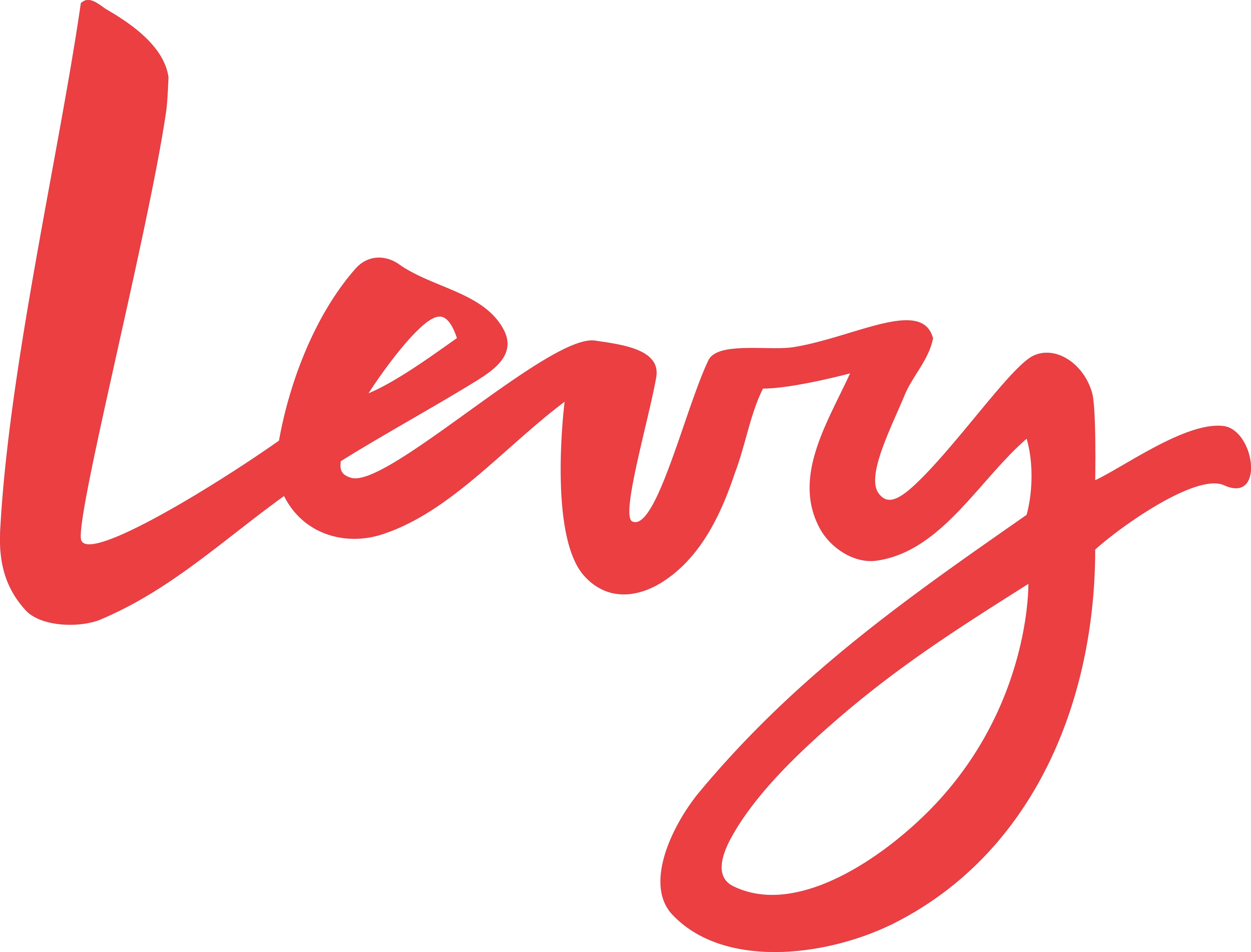 Image: Levy
