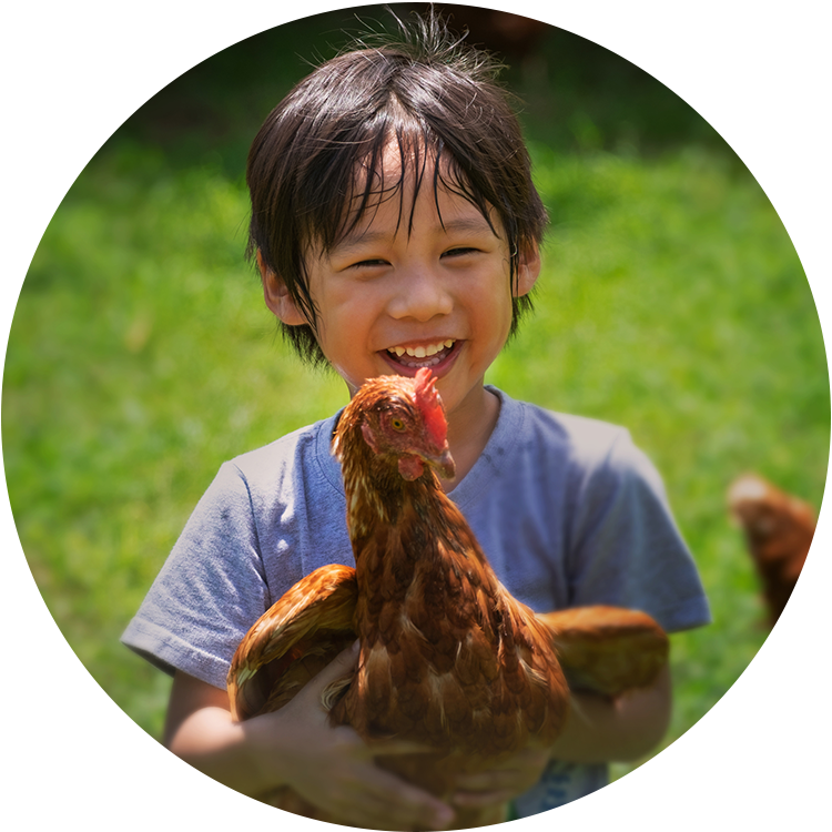 Image: 100625_Sustainability_AW_V2